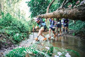 BIB: 
                            <button type="button" onclick="openModal(25478200)" class="btn btn-primary btn-sm float-right btn-popup" data-toggle="modal" data-target=".modal-high-quality">
                        <i class="fas fa-shopping-cart"></i> Add to Cart
                    </button>
                                            <button type="button" onclick="isThisMe(25478200, true)" class="btn btn-success btn-sm float-right btn-popup btn-isme hidden" data-toggle="tooltip" data-placement="bottom" title="นี่คือรูปของคุณใช่ไหม คลิกที่นี่เพื่อเอาเข้าอัลบั้ม">
                        <i class="fas fa-plus"></i> Add to album
                    </button>
                    <button type="button" onclick="isThisMe(25478200, false)" class="btn btn-warning btn-sm float-right btn-popup btn-isnotme hidden">
                        <i class="fas fa-ban"></i> Remove from album
                    </button>